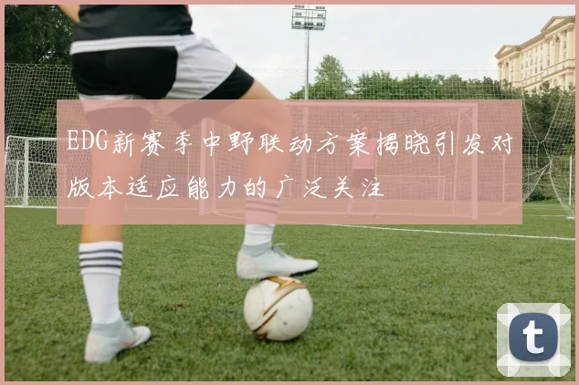 EDG新赛季中野联动方案揭晓引发对版本适应能力的广泛关注